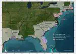 American alligators as wetland ecosystem carbon stock regulators