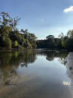 Comparing aquatic environmental DNA collection methods across a diel cycle in a lotic system