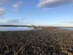 Restoration is a partial but not complete solution for longterm declines in oyster populations—A case history from the northeastern Gulf of America